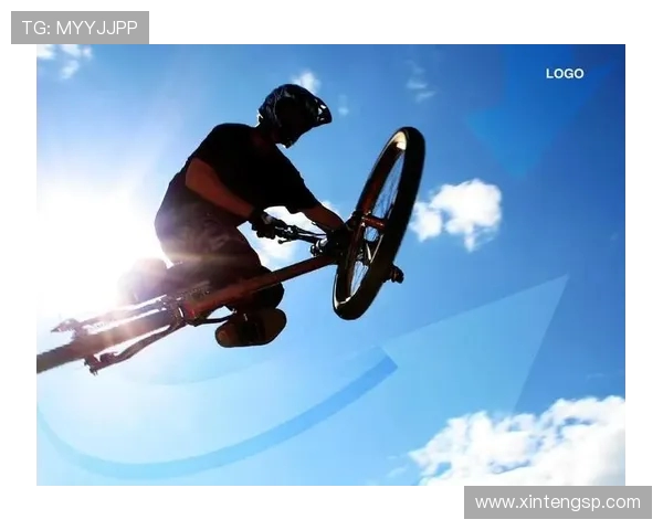 南京极限运动队在极限运动会中的团队协作表现分析与点评